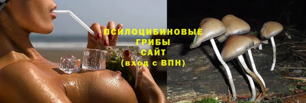 мяу мяу мука Белоозёрский