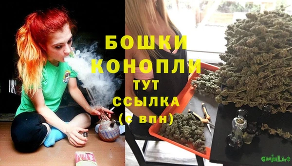 mdpv Белокуриха