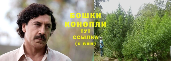 mdpv Белокуриха