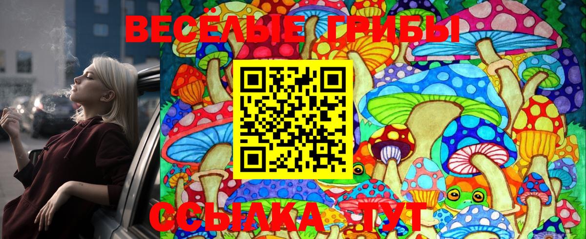 Галлюциногенные грибы GOLDEN TEACHER Печора