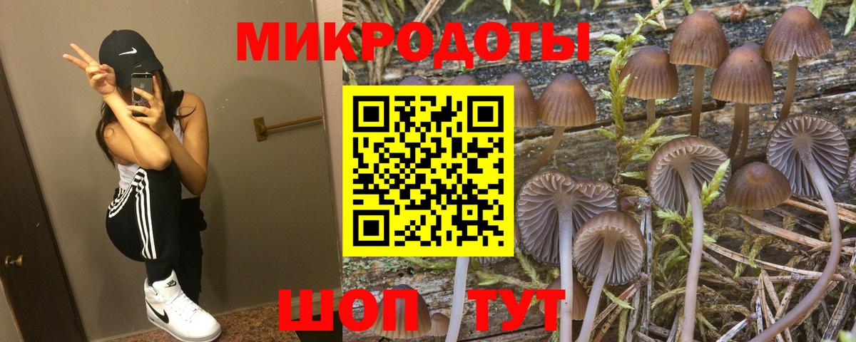 Печора  Галлюциногенные грибы Magic Shrooms  Вход с VPN 